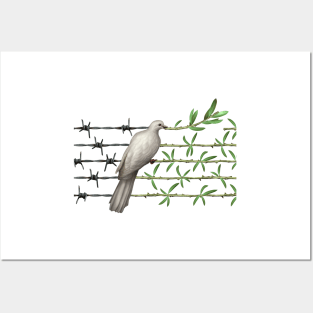 Dove With Olive Branch and Barbed Wire Posters and Art